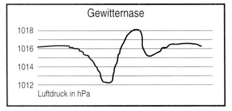 Gewitternase