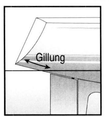 Gillung