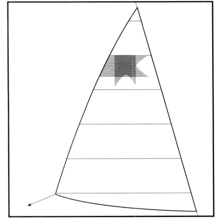 Horizontalschnitt