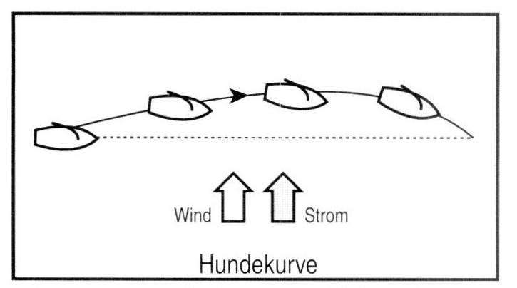 Hundekurve