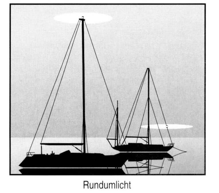 Rundumlicht